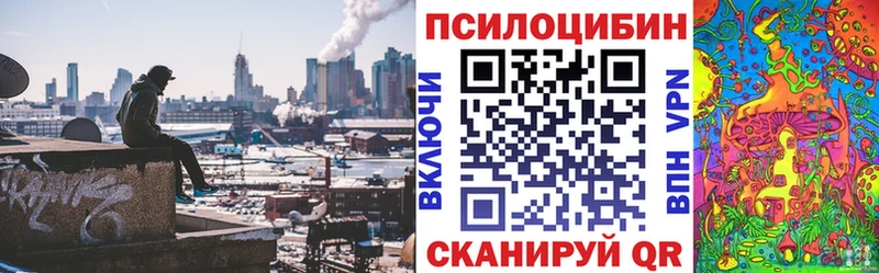 Псилоцибиновые грибы Cubensis  Сызрань 